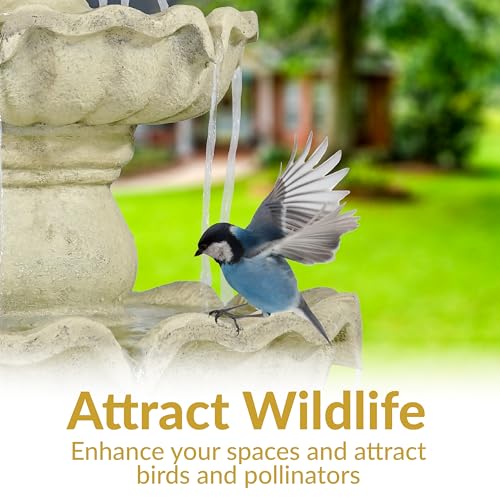 Sunnydaze 51" 3
