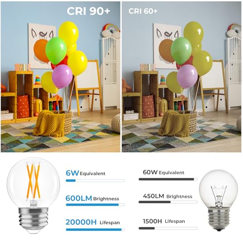 E26 G16.5 Edison Globe LED Bulb (6 Count)