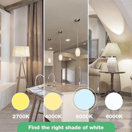 LED Light Bulbs Daylight 5000K (24 Count)