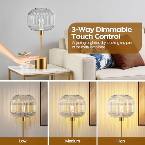 Glass Table Lamp for Living Room