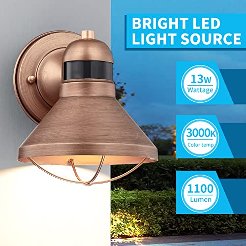Motion Sensor Outdoor LED Barn Light Dusk to Dawn Exterior Wall Lantern