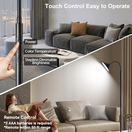 76" LED Floor Lamp (Black-76inch)
