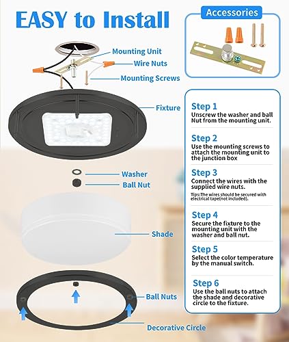 2 Pack Black Ceiling Light (2 Count)