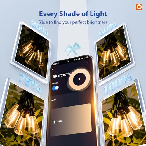 100FT Outdoor String Lights ST38 LED with APP Control Waterproof (100 Foot)