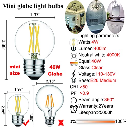 G16.5 E26 Light Bulb (6 Count)