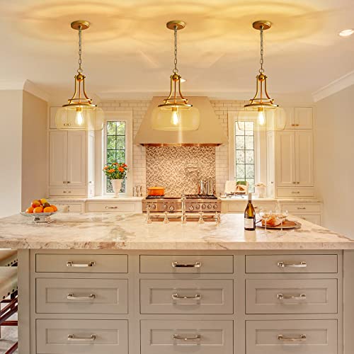Chandelier Rustic Farmhouse Industrial Round Ceiling Pendant LED Light Fixture with Clear Glass Shades for Dining Room Kitchen Island Foyer Entryway