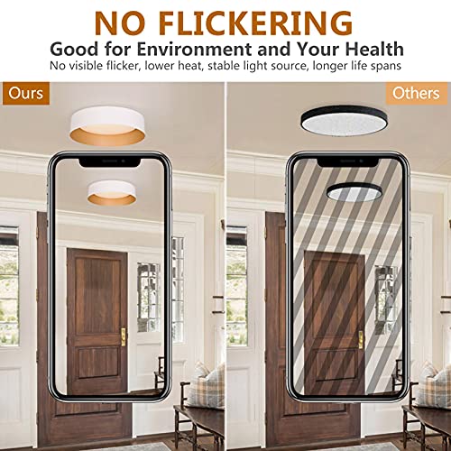 Flush Mount Ceiling Light