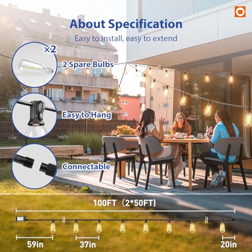 100FT Outdoor String Lights ST38 LED with Remote Waterproof Dimmable (100 Foot)
