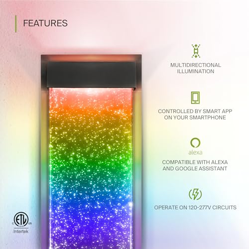 LED 18" Bubble Glass Wall Light Fixture