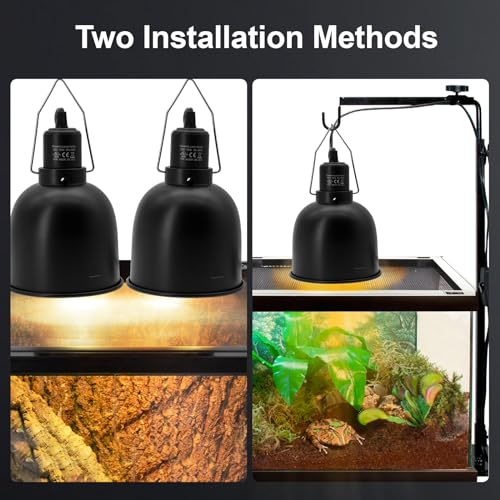 Reptile Light Fixture