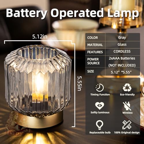 Battery Operated Lamp