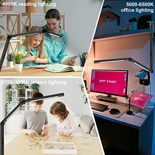LED Desk Lamp with Clamp