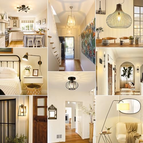 4 Pack Vintage Edison Bulbs 60W Equivalent (4 Count)