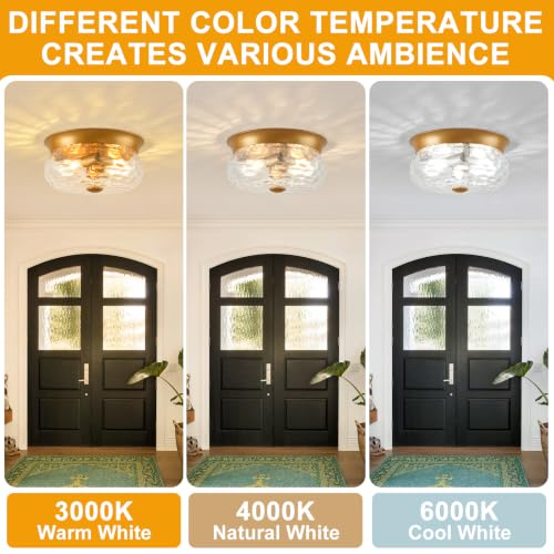 Gold Flush Mount Ceiling Light Fixtures (Gold-Clear Hammered Glass(No Assembly Required))