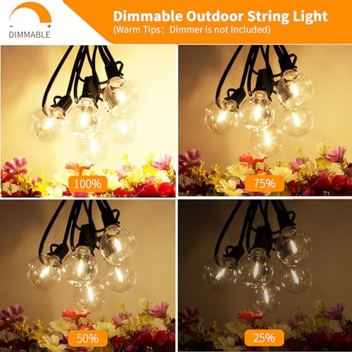 Outdoor String Lights 120 FT Waterproof Patio Light 63 LED Bulbs (120 Foot)