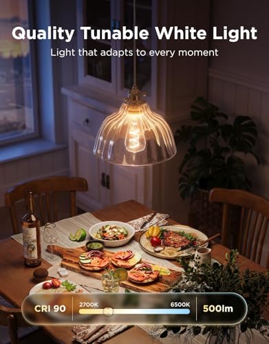 Edison Bulbs ST19 (4 Count)