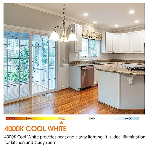 Energetic 4 Pack Dimmable A21 LED Bulb (4 Count)