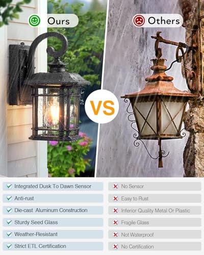 Black Outdoor Light Fixture Dusk to Dawn (2 Count)