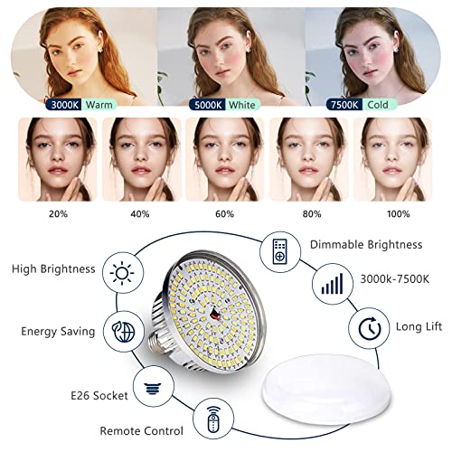Softbox Photography Lighting Kit