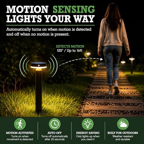 Solar Landscape Lights (2 Count)