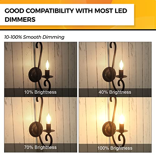 Candelabra Light Bulbs 40W Eq (24 Count)