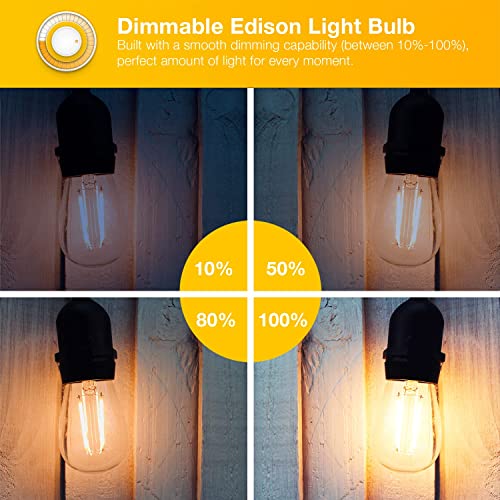 6 Pack Vintage LED Edison Bulbs (6 Count)