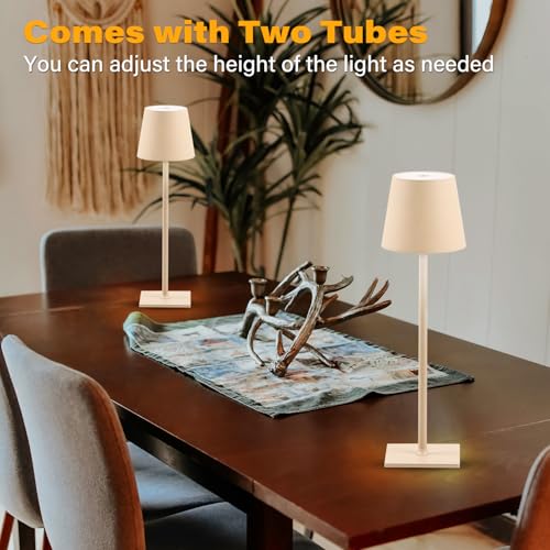 2 Pack Cordless Table Lamps (2 Count)
