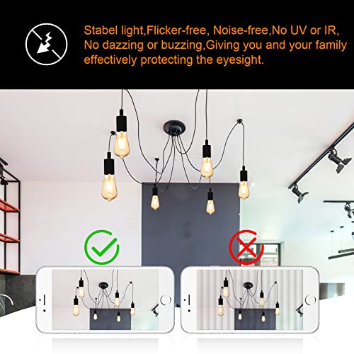 LED Edison Bulbs