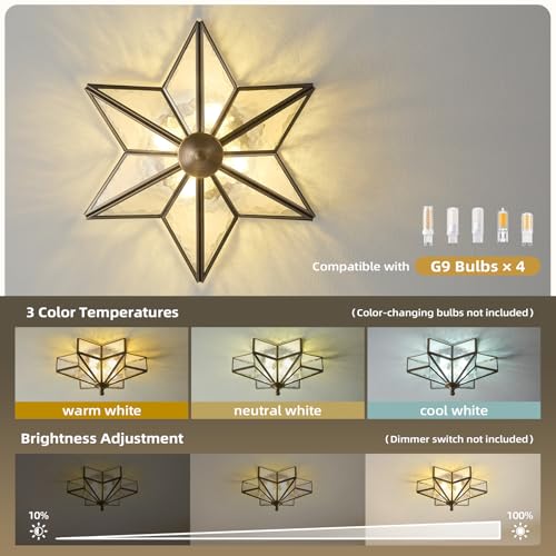 Star Vintage Bronze Ceiling Light