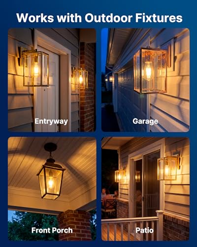 ST19 Dusk to Dawn LED Edison Bulb (2 Count)
