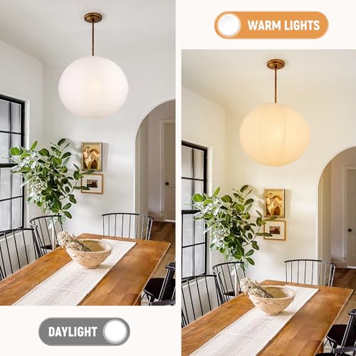 White Round Paper Lantern Lampshade