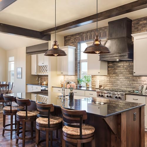 Plug in Pendant Light with 16FT Cord