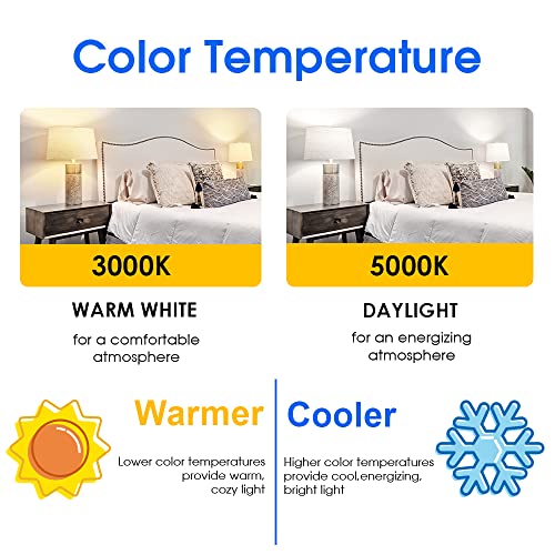 Energetic A19 LED Bulb 60W Equivalent (12 Count)