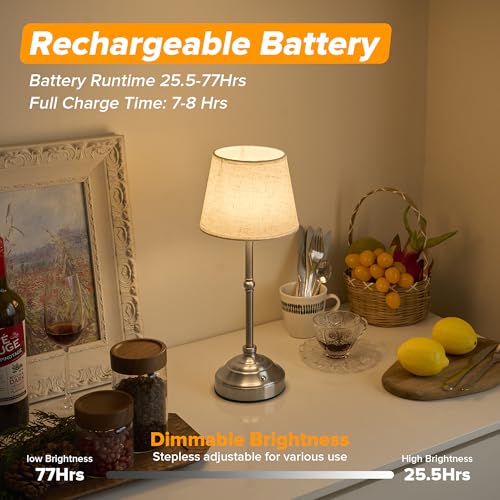 Cordless Table Lamp