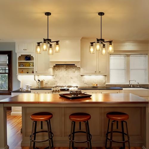 4 Light Modern Farmhouse Black Chandelier