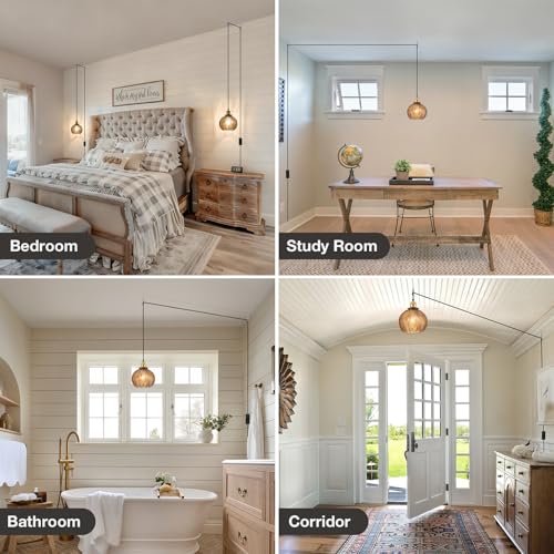 Modern Plug in Hanging Light