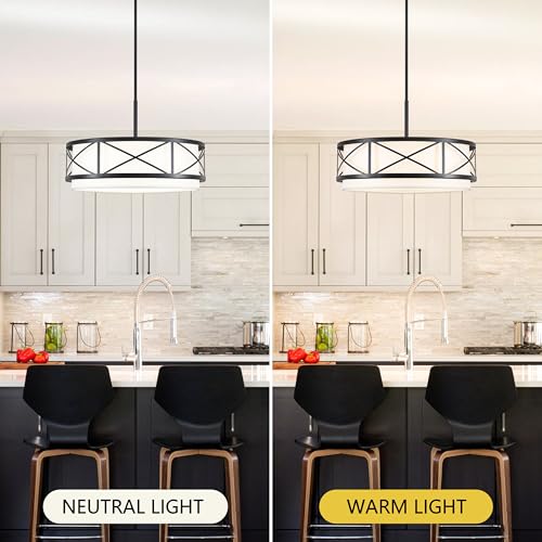 19.7" Modern Black Drum Chandelier (5 Count)
