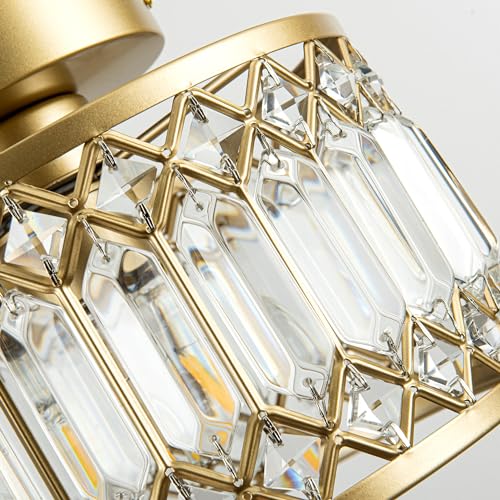 Crystal Ceiling Light
