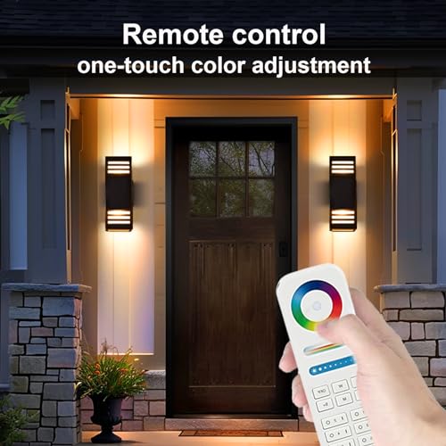 Smart Outdoor Wall Sconce