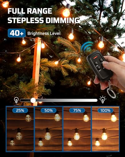 Remote Dimmer Plug for Outdoor String Lights
