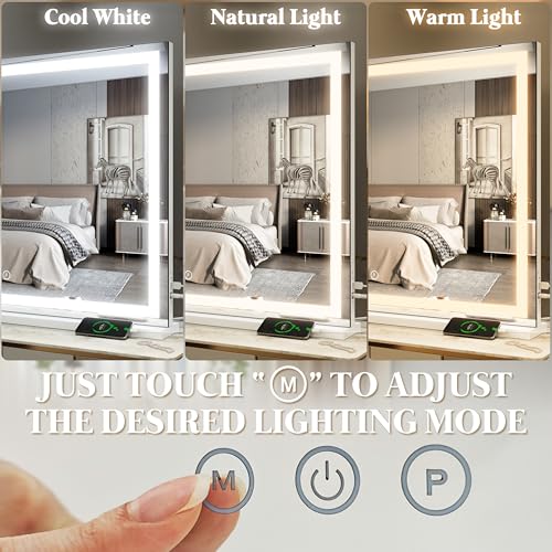 Large Vanity Mirror with Lights
