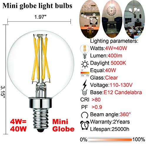 G16 E12 Led Bulb (6 Count)