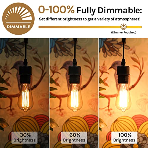 60 Watt Incandescent Edison Light Bulbs (4 Count)