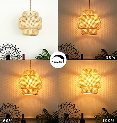 Plug in Pendant Light Rattan Hanging Lights with Plug in Cord Bamboo Hanging Lamp Dimmable