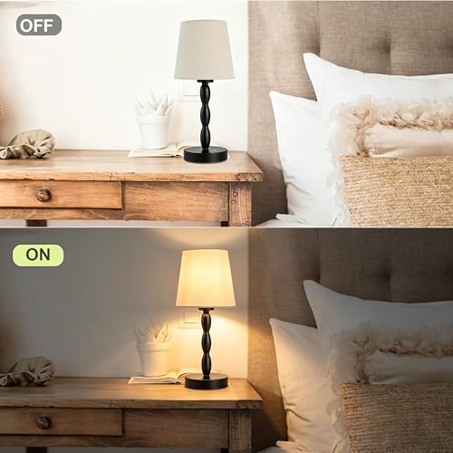 Rechargeable Cordless Table Lamp
