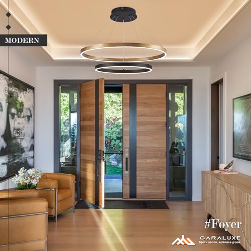 2 Ring LED Chandelier Black Gold Chandeliers for Dining Room Dimmable