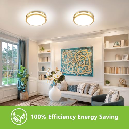 13inch LED Flush Mount Ceiling Light Fixture Dimmable Gold (2 Count)