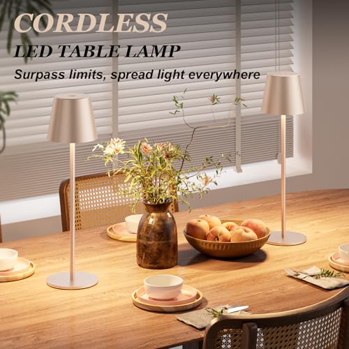 Champagne Gold Cordless Table Lamp Rechargeable (2 Count)