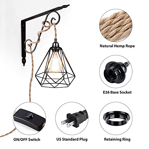 Plug in Hanging Light Fixture