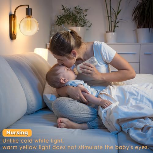 Globe Decorative Light Bulb Vintage Edison LED Soft Warm Amber G125
